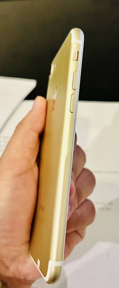 iPhone 7 PTA Approved