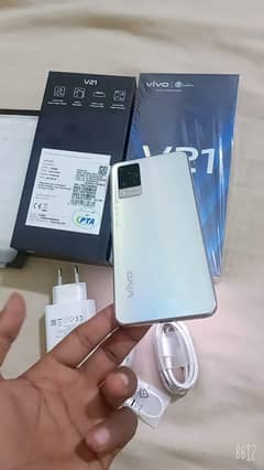 vivo