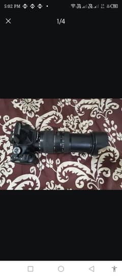 canon d550