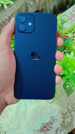 I phone 12