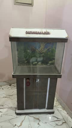 Fish aquarium