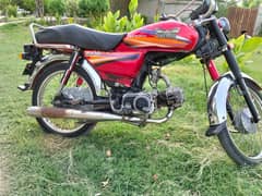 Rohi