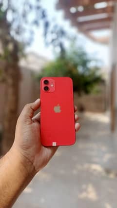 I phone 12