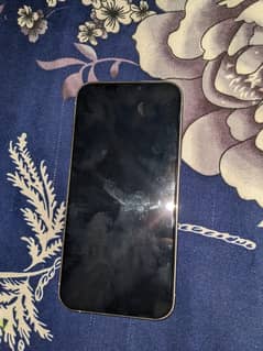 12 pro 256 gb