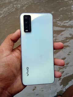 vivo
