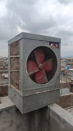 Lahore color hn use ma h bikkul