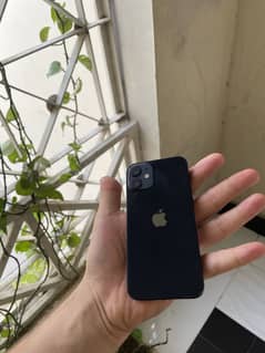IPhone 12 mini