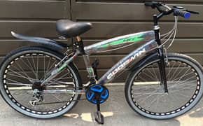 New Goodwin cycle