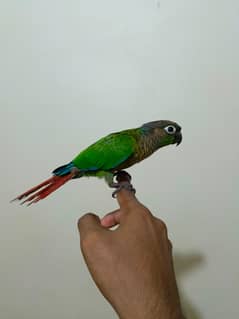green