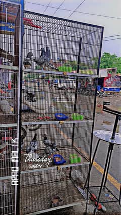 iron cage