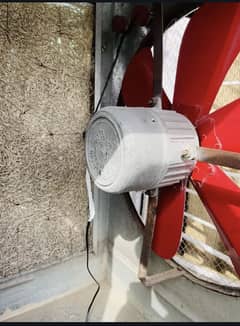 Air cooler