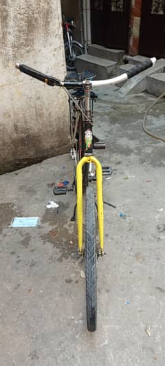Pheonix Frame bicycle