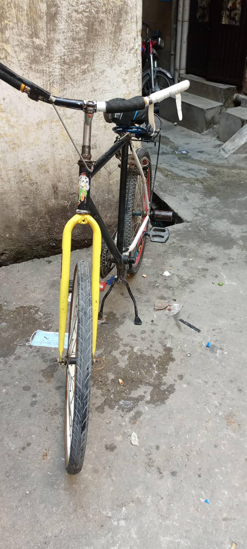 Pheonix Frame bicycle 1
