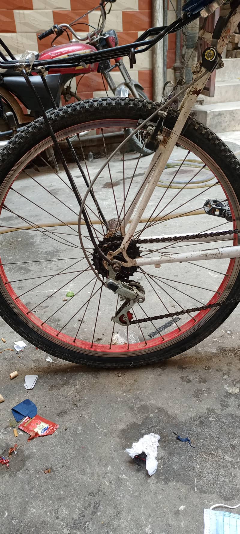 Pheonix Frame bicycle 2
