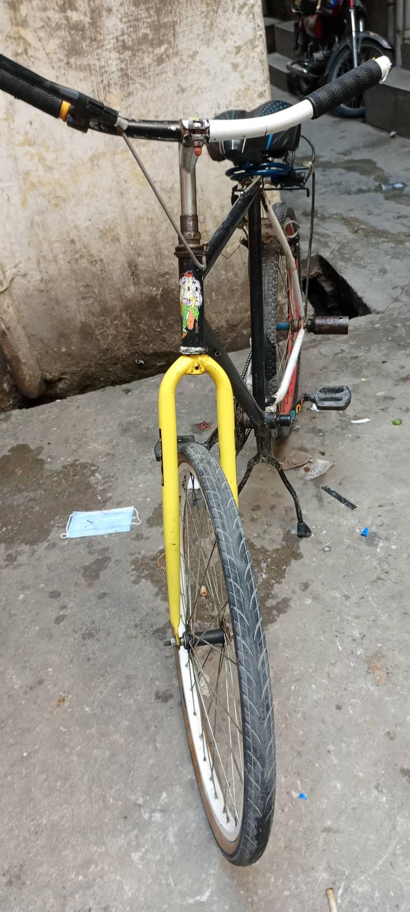 Pheonix Frame bicycle 6