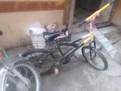 Trinx Cycle ( Good looking )