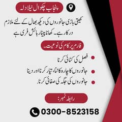 Worker - Farmer - Chakwal jobs - Karigar