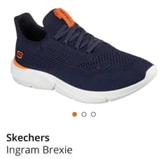Sketchers