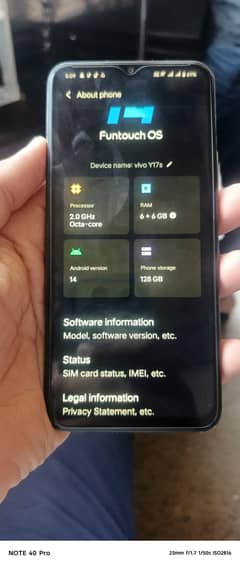 vivo