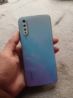 vivo