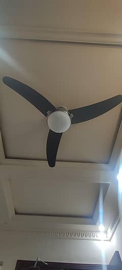 Modern Silent Fan With LED Light | AC Room Companion | 6 Months Old