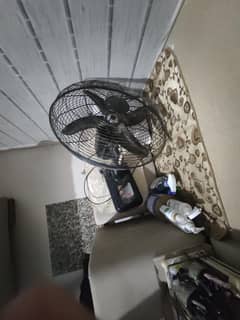 Royal wall Fan