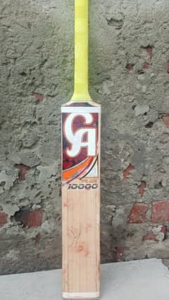 HARD BALL BAT