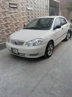 xli Corolla