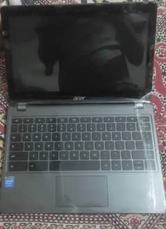Acer