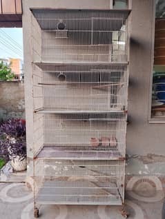 steel cage