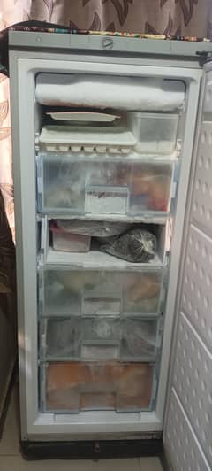 Freeze