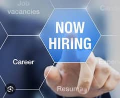 Career