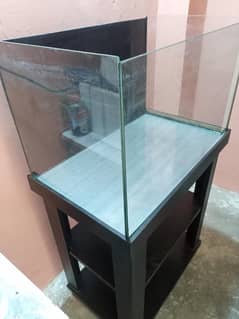 aquarium