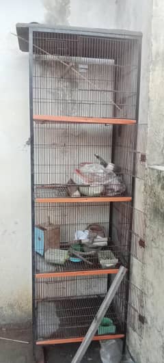 birds 2 cages