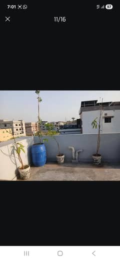 Need (Qari, Alam, Hafiz) for 5 years kid