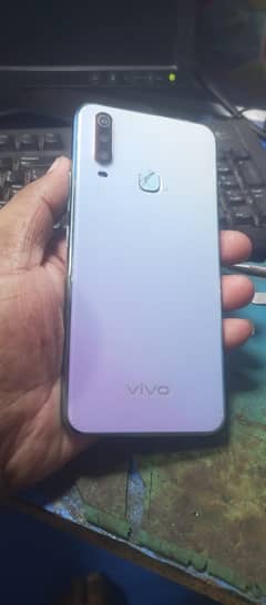 Vivo