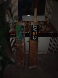 hard ball bat