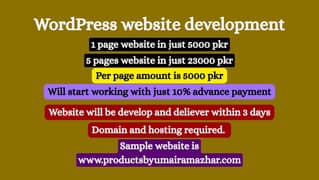 Wordpress website development
