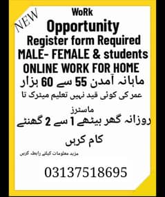 online work available male female and students