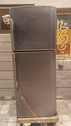 fridege for sale