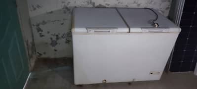 D freezer