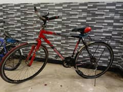 Phoenix Sports Cycle