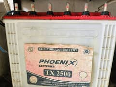Phoenix 2500 tubular batteries