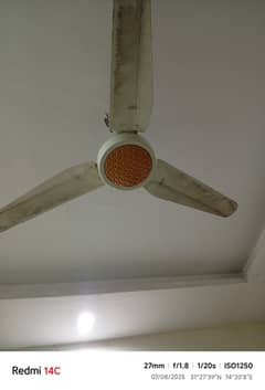 ceiling fain for sale