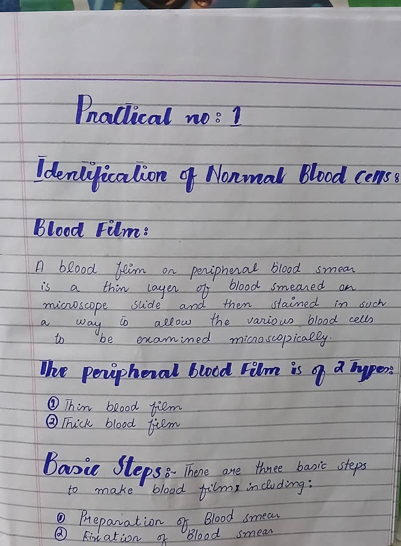Custom Practical Book Creation 3