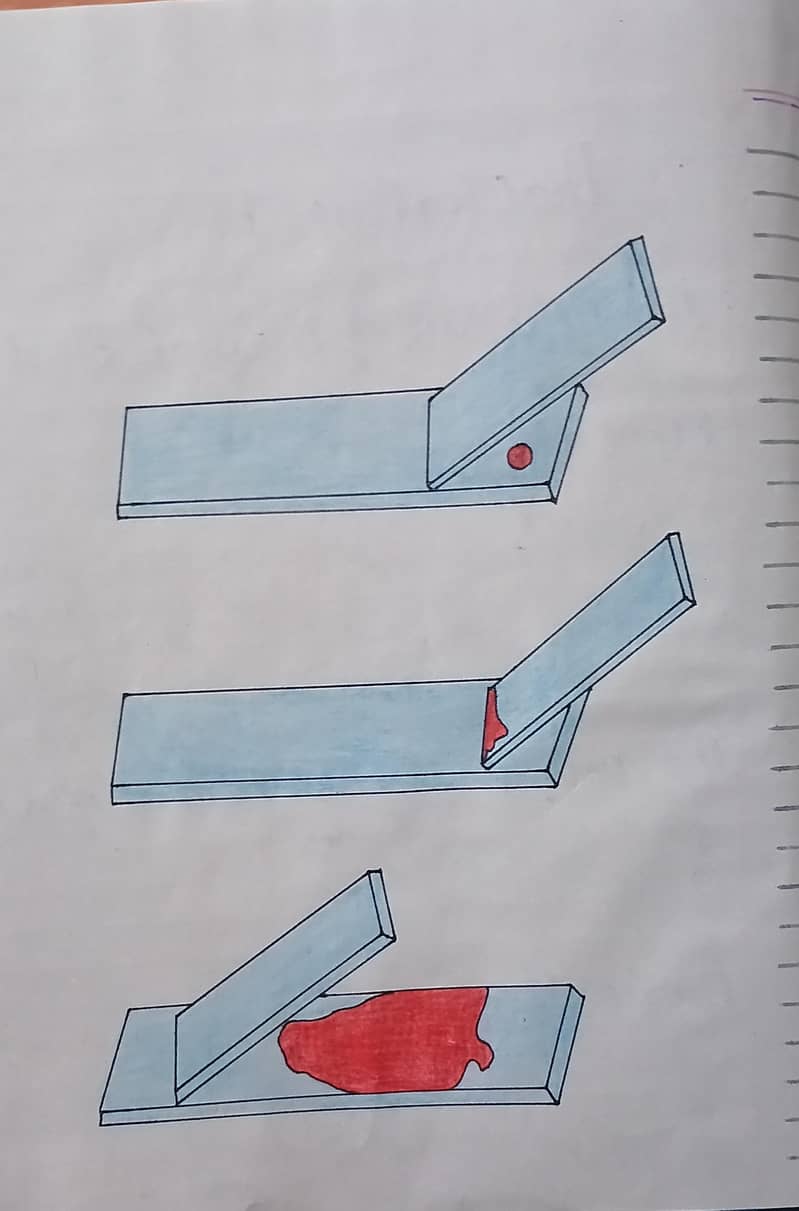 Custom Practical Book Creation 4