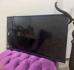 smart LED for sale in new condition