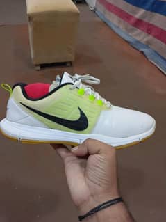 brended sports shoes