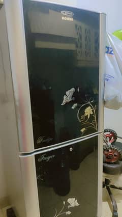 Fridge & Refrigerator