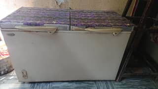 Dee freezer
